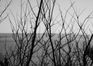 コンフォートゾーンを抜け出せ。居心地の悪い場所こそ成長痛を生む