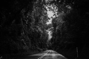 なぜ今、「ビジネステック留学」という選択が最もリスクが低いのか