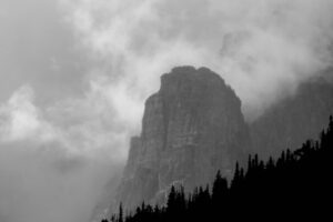 座学は終わりだ、ビジネスの荒野へ。「100日実践」で手にする本物の力